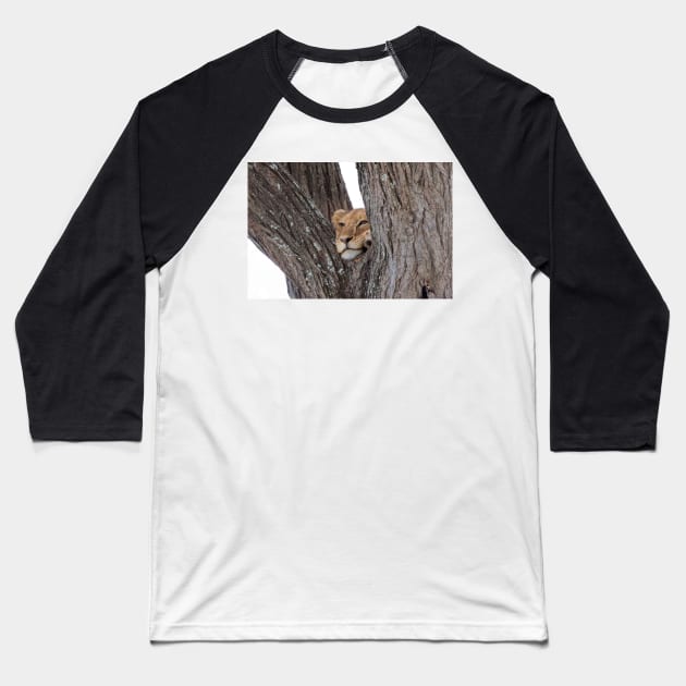 Young Masai Lion on a Tree Baseball T-Shirt by yairkarelic